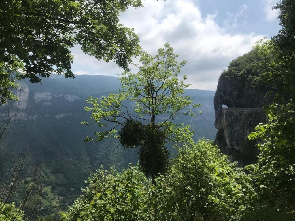 Maison De Vacances Avec Ses Petits Chalets Aouste-sur-Sye Dış mekan fotoğraf